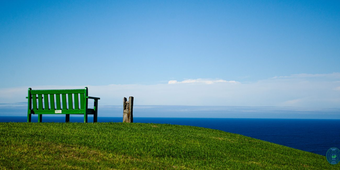 Rest bench with a view